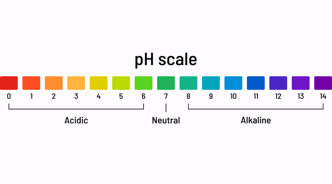 The Science of Vaginal pH Why acidity is protection - not a problem