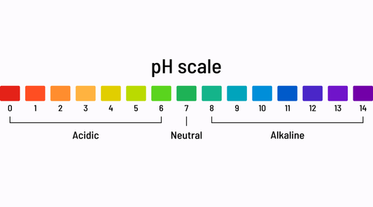 The Science of Vaginal pH Why acidity is protection - not a problem